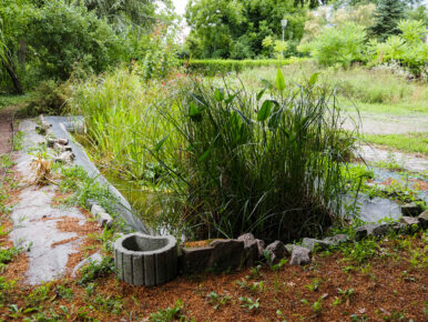 bassin_espacesverts-2